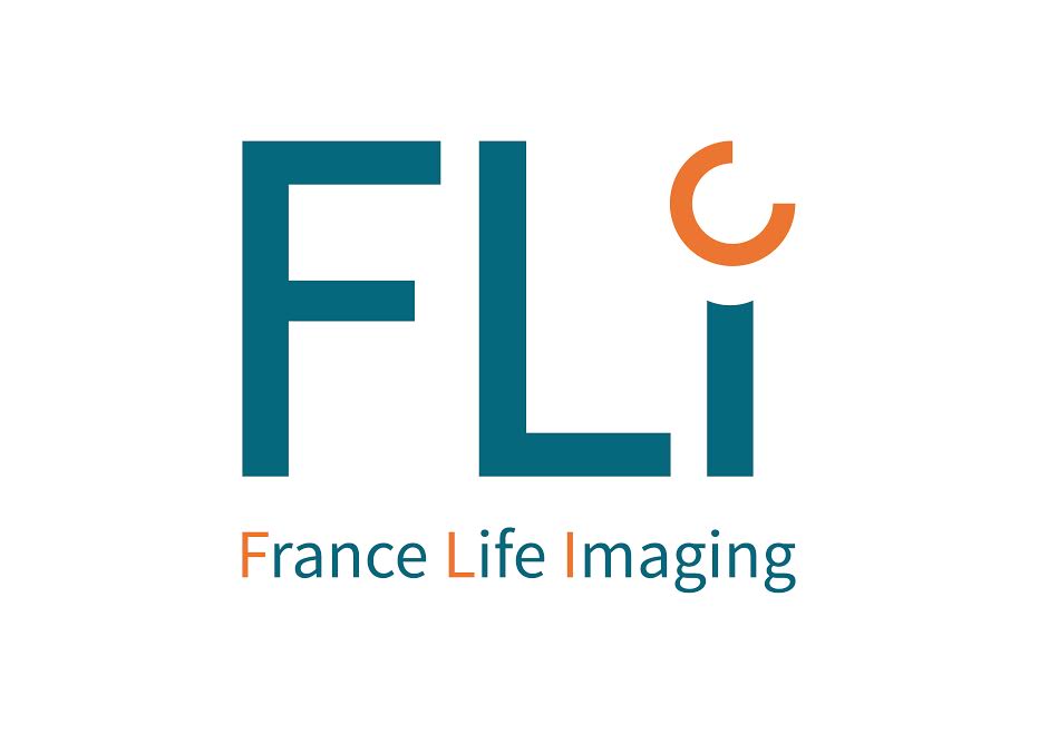 fli_logo
