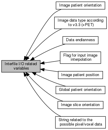 CASToR: Interfile I/O related variables